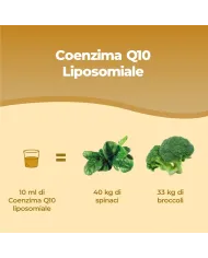 Coenzima Q10 Liposomiale Liquido - 250 ml